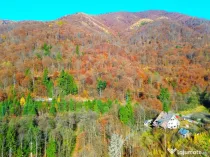 DE VANZARE Cabana-DN Baia Mare–Sighet cu 29AR