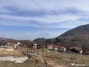 Teren 1,697mp Cisnadioara / Strada Silvicultorilor 