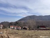 Teren 1,697mp Cisnadioara / Strada Silvicultorilor 