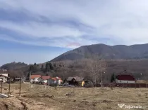 Teren 1,697mp Cisnadioara / Strada Silvicultorilor