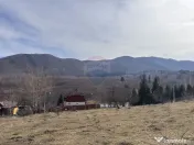 Teren 1,697mp Cisnadioara / Strada Silvicultorilor 