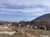 Teren 1,697mp Cisnadioara / Strada Silvicultorilor 