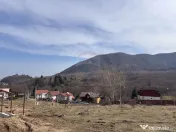 Teren 1,697mp Cisnadioara / Strada Silvicultorilor 