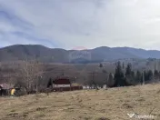 Teren 1,697mp Cisnadioara / Strada Silvicultorilor 