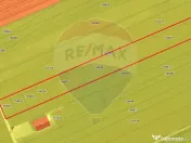 COMISION 0% Teren 25,000mp Ghimbav / Strada Sanzienei 