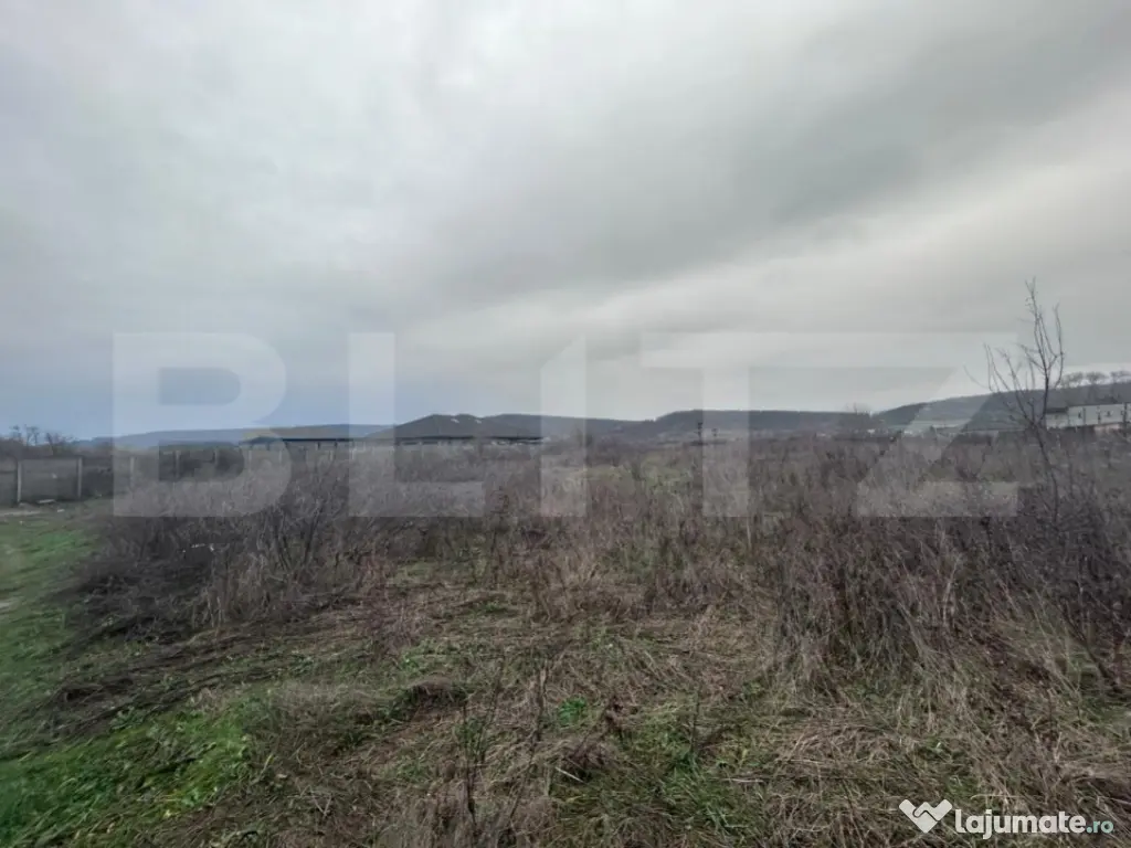 Teren extravilan de vanzare, 10.000 mp - Turcinesti