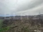Teren extravilan de vanzare, 10.000 mp - Turcinesti