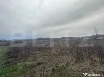 Teren extravilan de vanzare, 10.000 mp - Turcinesti