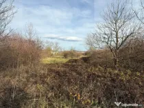 ???? Blitz vă propune spre vânzare – Teren 6.500 mp, Cal