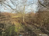 ???? Blitz oferă spre închiriere – Teren 6.500 mp, Calea