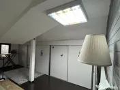 Vila de inchiriat Clinceni, 4 camere, 600 mp curte 