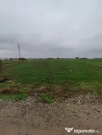 Teren Isalnita INTRAVILAN - 3266 MP - Ideal pentru investiti