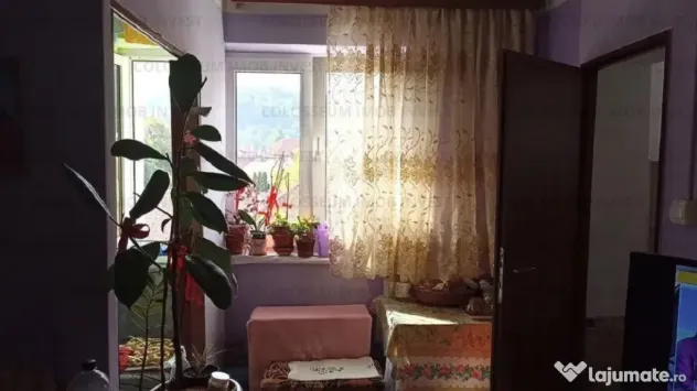 Cameră de cămin cu baie și bucătărie, zonă centrală - Iuliu Maniu!