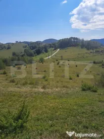 Teren extravilan 4.604 mp cu curent – ideal pentru cabană