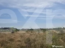 Teren intravilan de vânzare in Trivale - zona Magic | 500 m