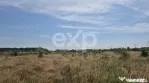 Teren intravilan de vânzare in Trivale - zona Magic | 500 m
