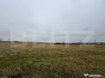 Teren intravilan in Pricaz 4416 mp