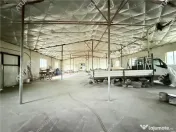 Hala industriala 1980 mp utili 3520 mp teren in Cisnadie 