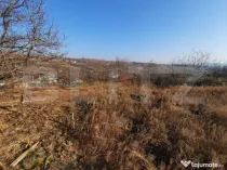 Teren 4990 mp intravilan, Tomesti- Chicerea