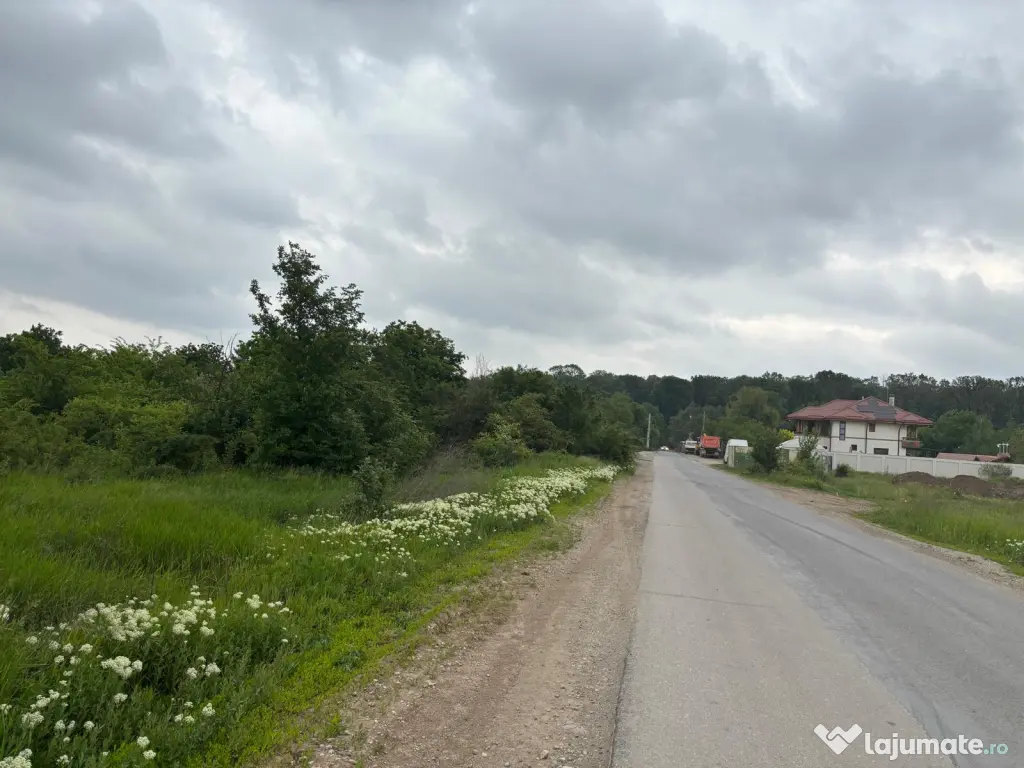 Terenul dintre 2 lacuri – 1000 mp în Mogoșoaia, la 5 minute de pădure
