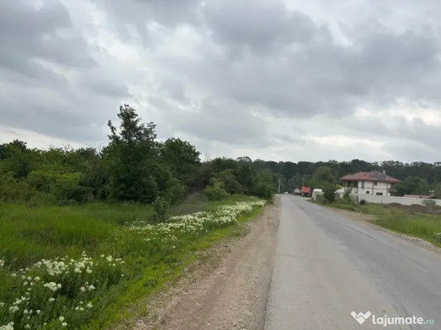 Terenul dintre 2 lacuri – 1000 mp în Mogoșoaia, la 5 minute de pădure