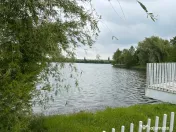 Terenul dintre 2 lacuri – 1000 mp în Mogoșoaia, la 5 minute de pădure 