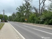 Terenul dintre 2 lacuri – 1000 mp în Mogoșoaia, la 5 minute de pădure 