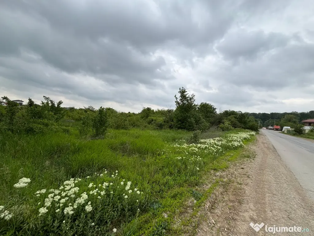 Terenul dintre 2 lacuri – 1000 mp în Mogoșoaia, la 5 minute de pădure