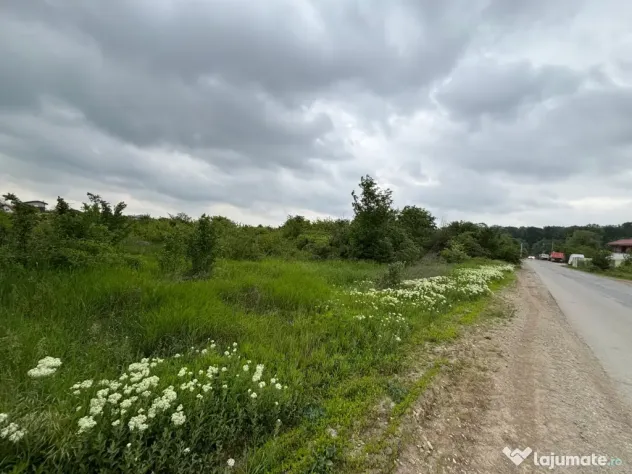Terenul dintre 2 lacuri – 1000 mp în Mogoșoaia, la 5 minute de pădure