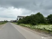 Terenul dintre 2 lacuri – 1000 mp în Mogoșoaia, la 5 minute de pădure 