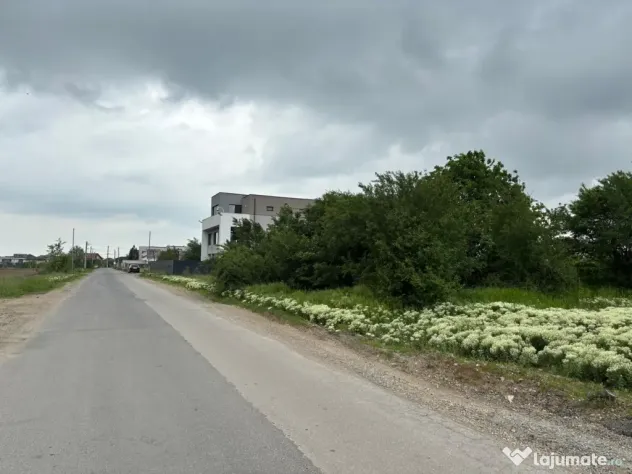 Terenul dintre 2 lacuri – 1000 mp în Mogoșoaia, la 5 minute de pădure