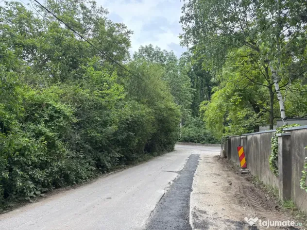 Terenul dintre 2 lacuri – 1000 mp în Mogoșoaia, la 5 minute de pădure