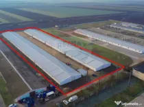 De vânzare – 2 hale industriale, 5.050 mp utili, Palota