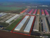 De vânzare – 2 hale industriale, 5.050 mp utili, Palota 