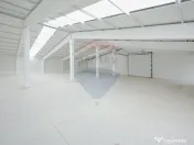 De vânzare – 2 hale industriale, 5.050 mp utili, Palota 