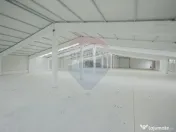 De vânzare – 2 hale industriale, 5.050 mp utili, Palota 