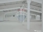 De vânzare – 2 hale industriale, 5.050 mp utili, Palota 