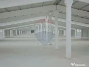 De vânzare – 2 hale industriale, 5.050 mp utili, Palota 