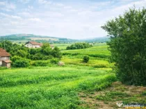 Teren intravilan pe 1.200 mp, Craiesti, Mures