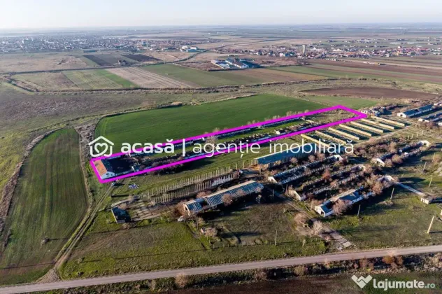 Teren 1.15 HA lângă Autostrada – Nădlac | clădiri+u...
