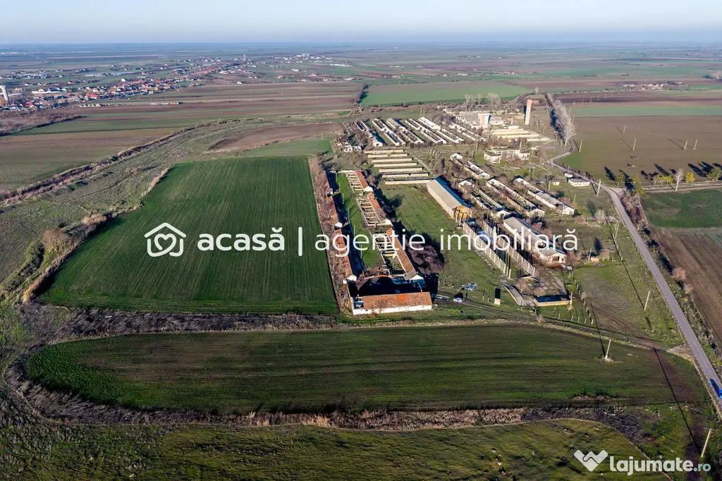 Teren 1.15 HA lângă Autostrada – Nădlac | clădiri+u...
