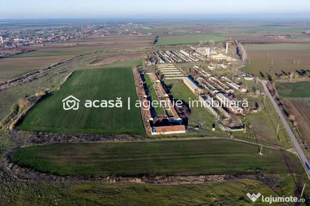 Teren 1.15 HA lângă Autostrada – Nădlac | clădiri+u...