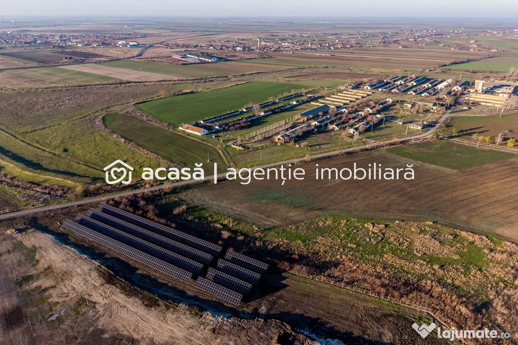 Teren 1.15 HA lângă Autostrada – Nădlac | clădiri+u...