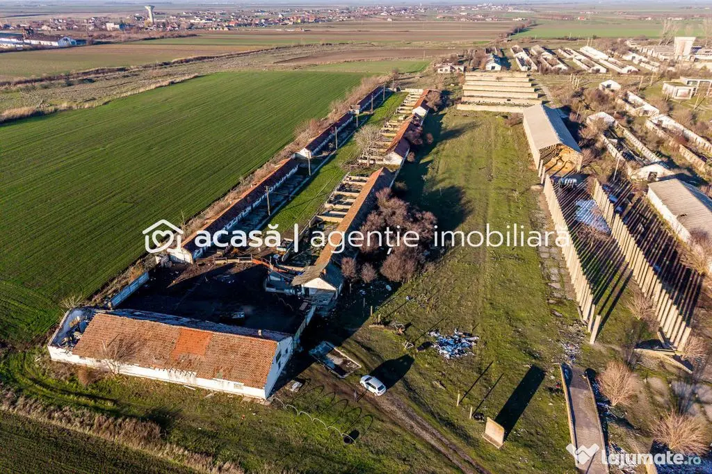 Teren 1.15 HA lângă Autostrada – Nădlac | clădiri+u...