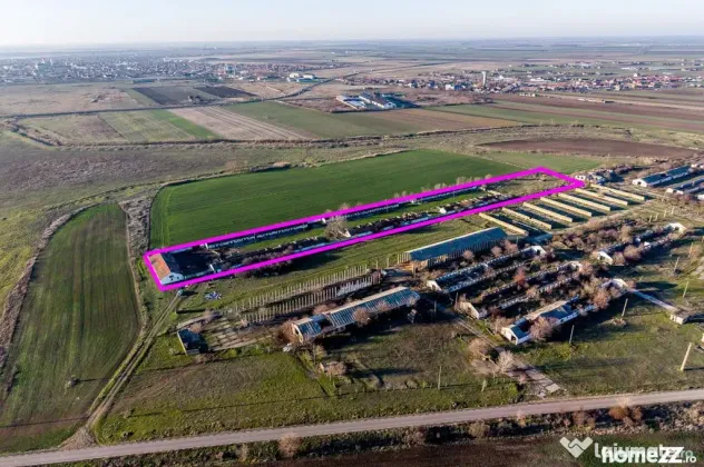 Teren 1.15 HA lângă Autostrada – Nădlac | clădiri+u...