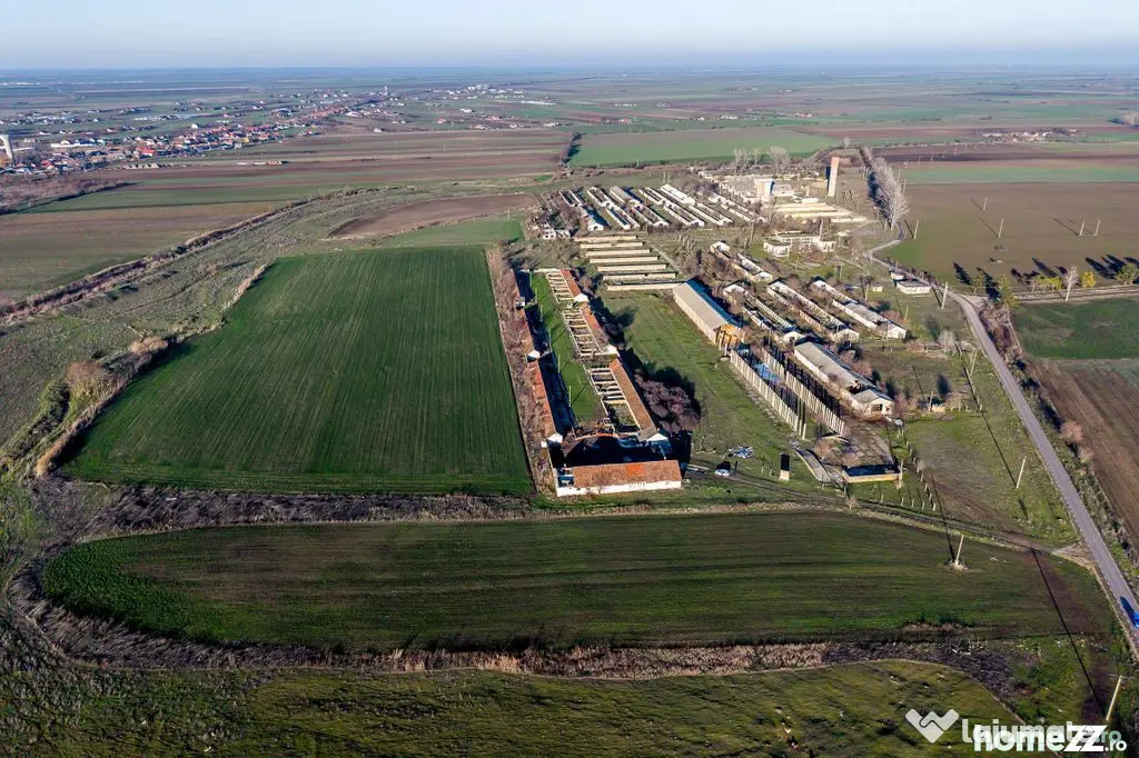 Teren 1.15 HA lângă Autostrada – Nădlac | clădiri+u...