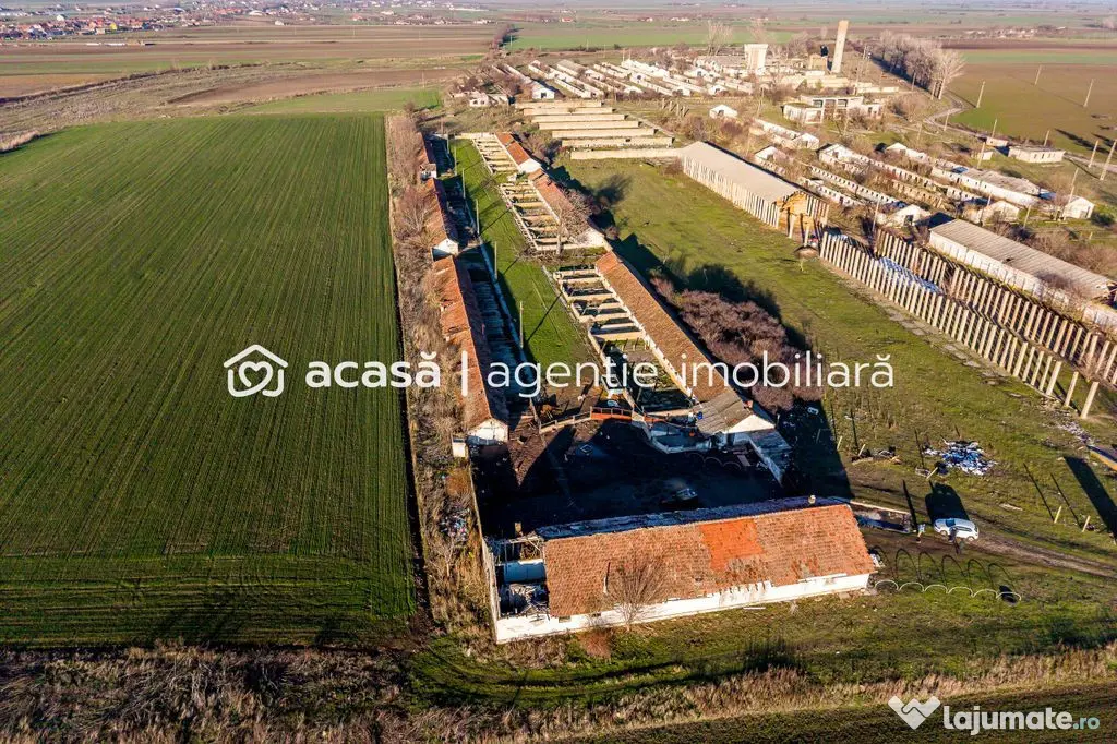 Teren 1.15 HA lângă Autostrada – Nădlac | clădiri+u...