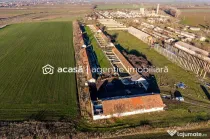 Teren 1.15 HA lângă Autostrada – Nădlac | clădiri+u...