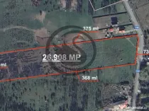 Teren intravilan de vanzare | 26.908 MP | Iedera de jos |...
