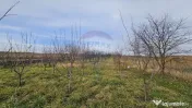 Teren extravilan 10,791mp Falticeni / Strada DJ209A, Opri... 